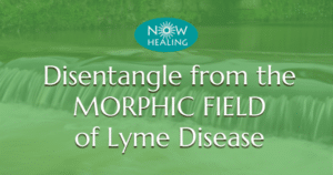 Morphic Field of Lyme Disease - -Now-Healing-Elma-Mayer