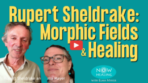 Rupert Sheldrake Interview: morphic fields and healing - Now Healing with Elma Mayer