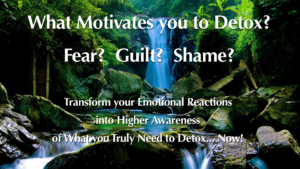 What motivates you to detox? Fear? Guilt? Shame? Now Healing with Elma Mayer