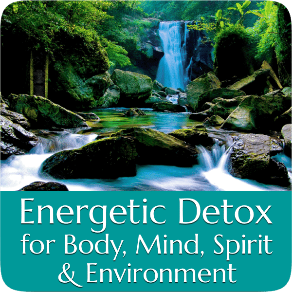 Energetic Detox - Instant Body Detox
