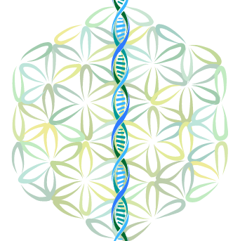 Healing Helix - Flower of Life - Now Healing with Elma Mayer