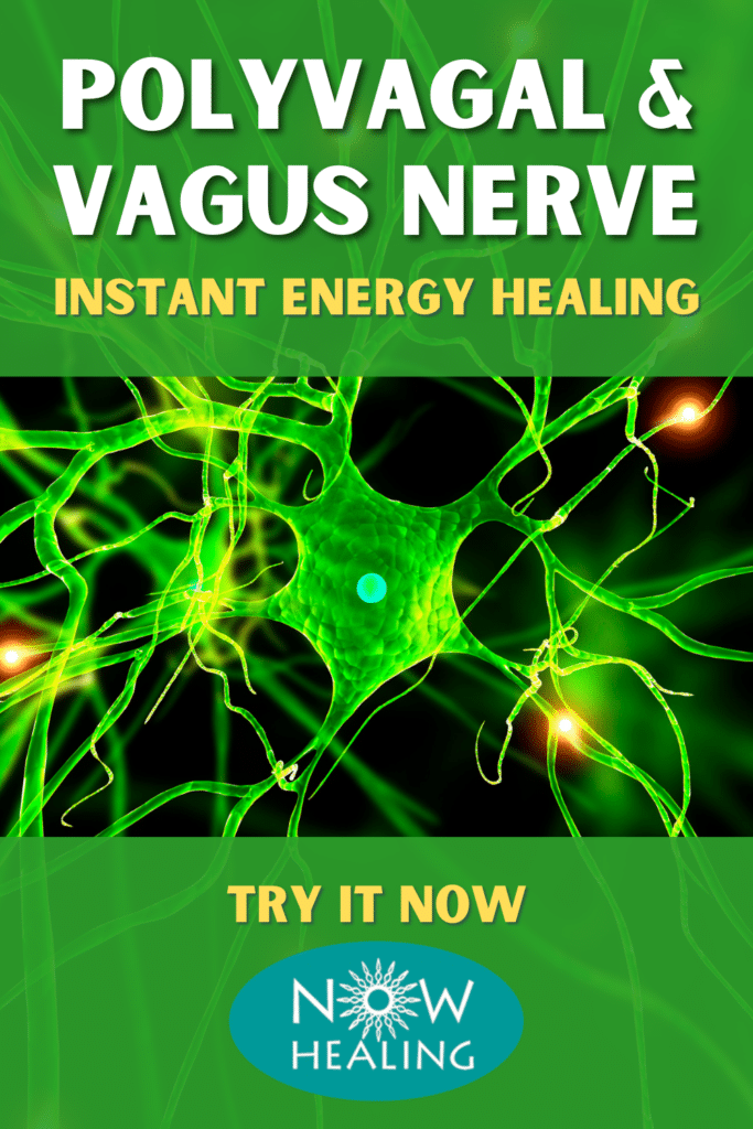 Vagus Nerve Polyvagal healing reset - Now Healing with Elma Mayer