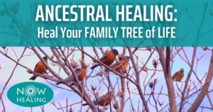How to do Ancestral Healing with your Family Tree of Life - Now Healing with Elma Mayer - Ancestral Lineage Healing, Generational Trauma, Epigenetics