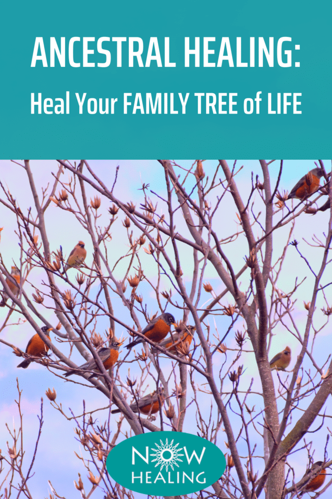 How to do Ancestral Healing with your Family Tree of Life - Now Healing with Elma Mayer - Ancestral Lineage Healing, Generational Trauma, Epigenetics, Family Constellation Work