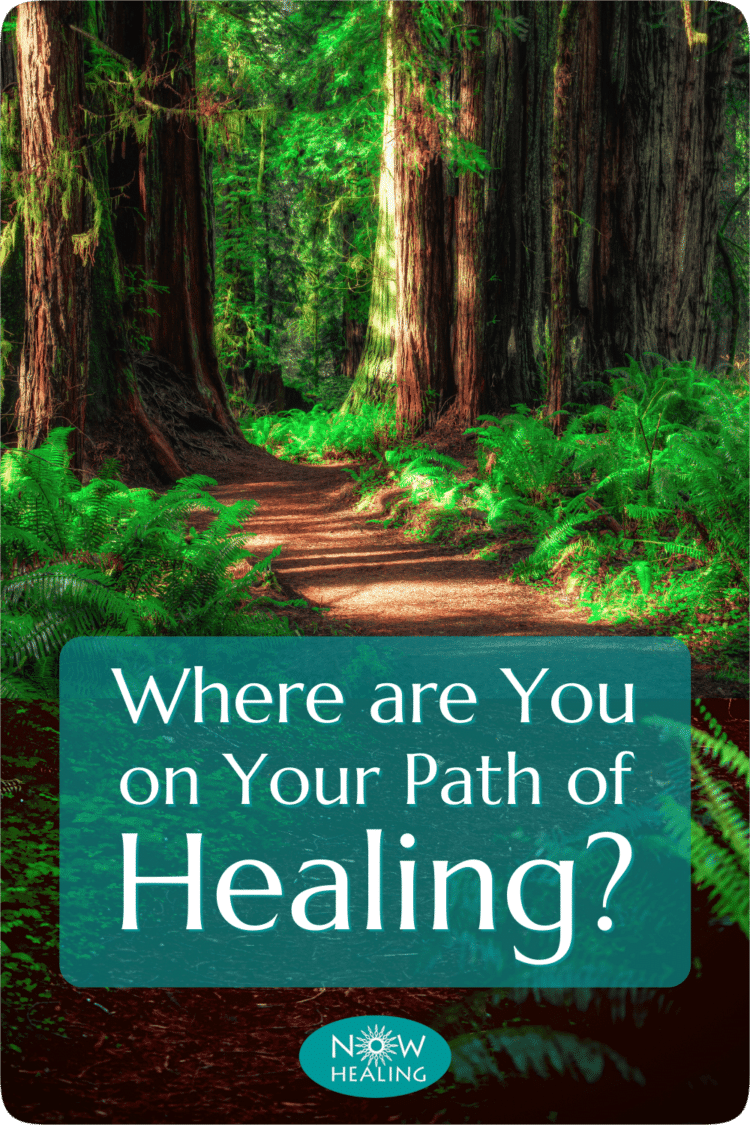 Where are you on your path of healing? Where to start healing? Now Healing with Elma Mayer