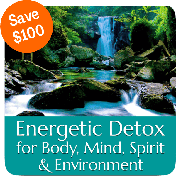 Energetic Detox Program - Now Healing