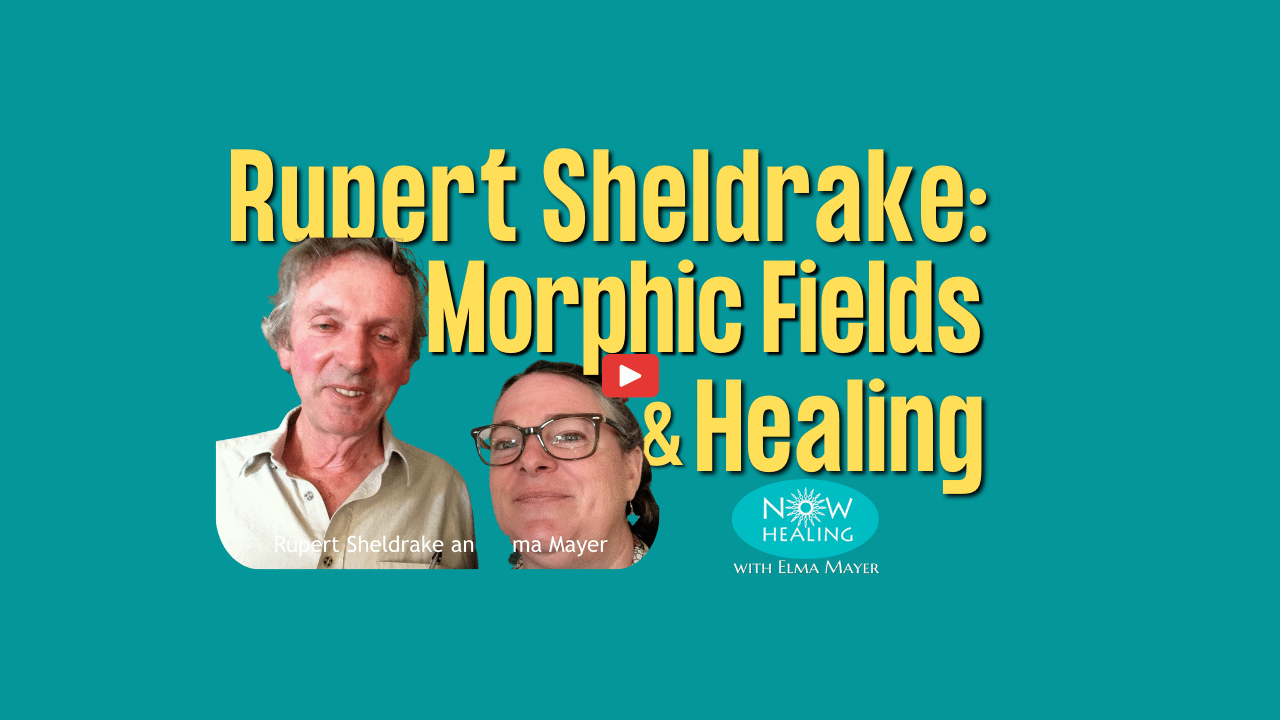 Morphic Resonance & Healing with Rupert Sheldrake [VIDEO] ⋆ Now Healing